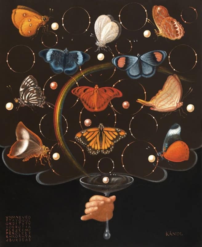 Kandl - Le bouquet papillon 61x50 cm